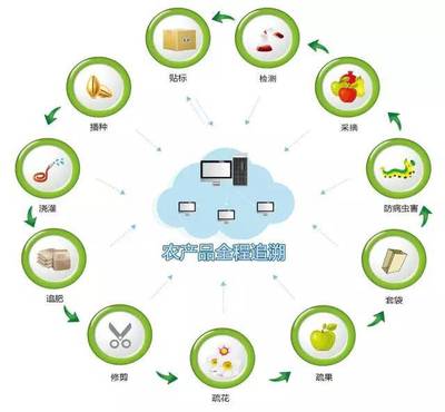 真農(nóng)觀察 農(nóng)產(chǎn)品溯源系統(tǒng)，品牌管理的基石與未來(lái)
